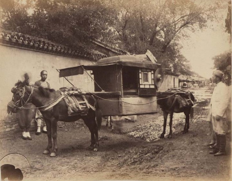 7 China-1889-1891-Mule-Litter.jpg