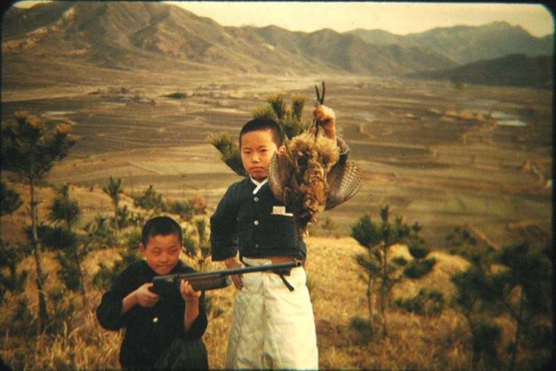 20 Vintage Korea War 1952 35mm Kodachrome Transparency KIDS GUN PHEASANT #20.JPG