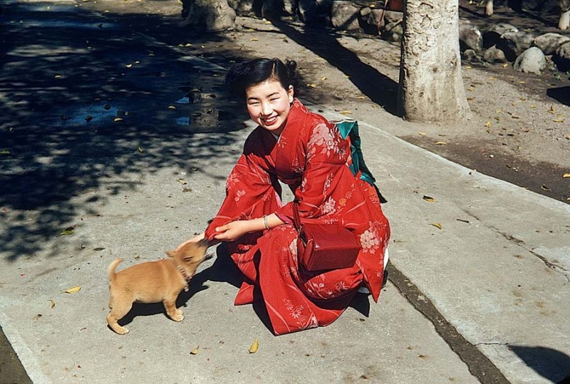12 Japanese Girl Playing With Puppy.jpg
