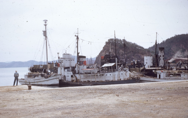 2 1954 Korea captured Jap fishing vessels.jpg