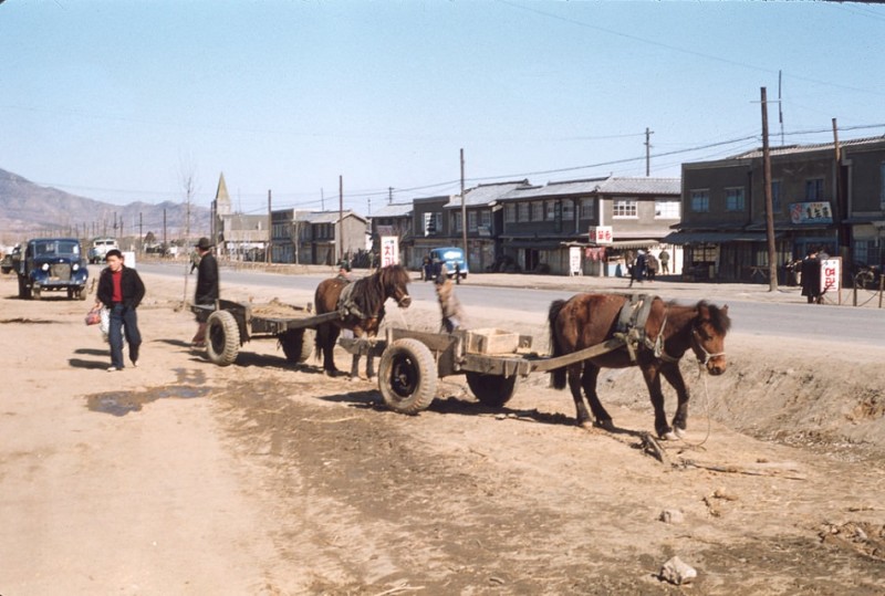 112 Bopung, Korea. Mongolian ponies.jpg