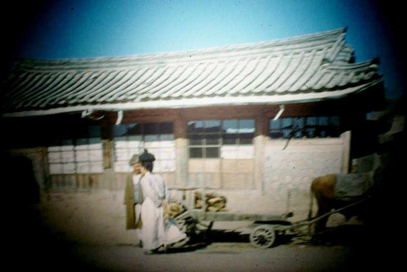 25c 35MM SLIDE SEOUL KOREA 1948 OX WITH CART HOUSE.JPG