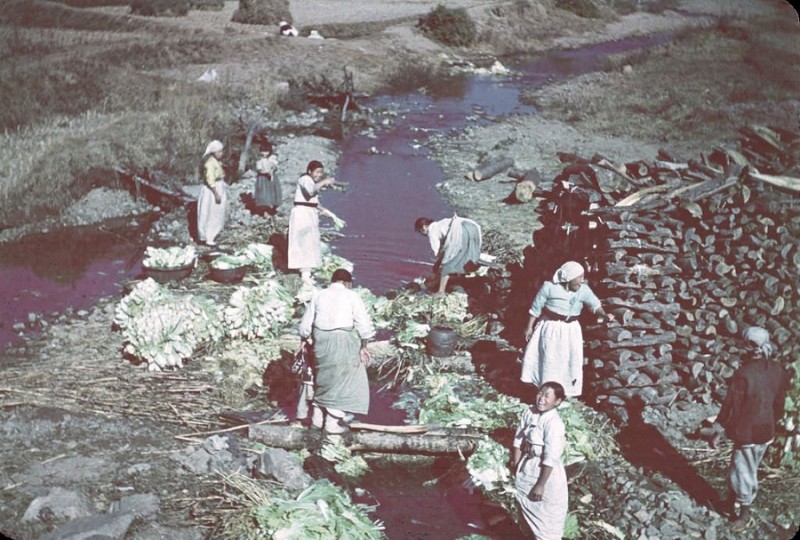 x Kimchee Making, 1946 1.jpg
