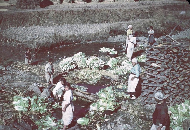 x Kimchee Making, 1946.jpg