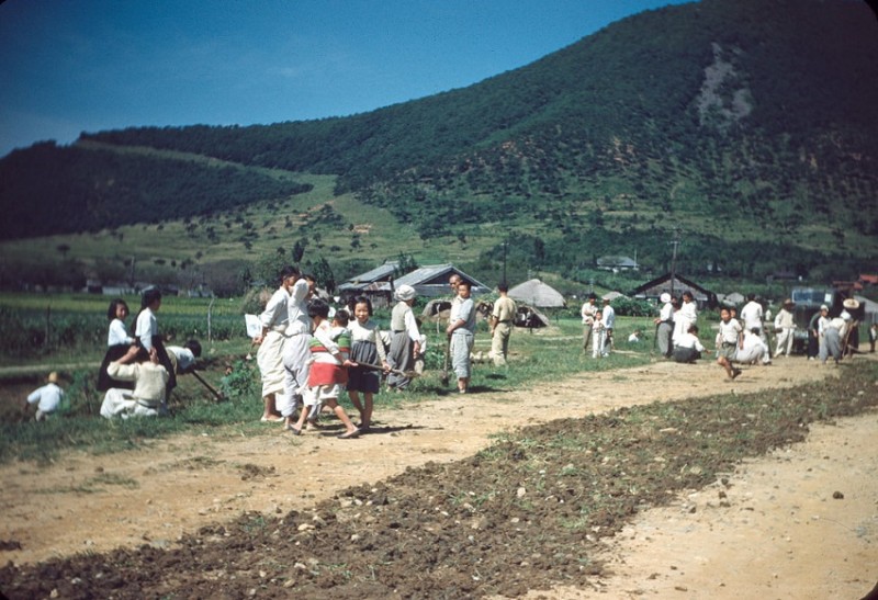 26a Chinhae, Korea, Sept. 1950.jpg